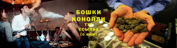 гидропоника Балабаново