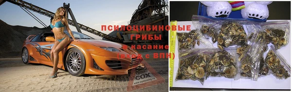 прущая мука Балахна