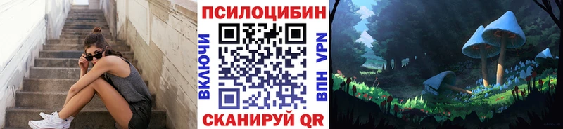 hydra tor  Козельск  Псилоцибиновые грибы Psilocybine cubensis 